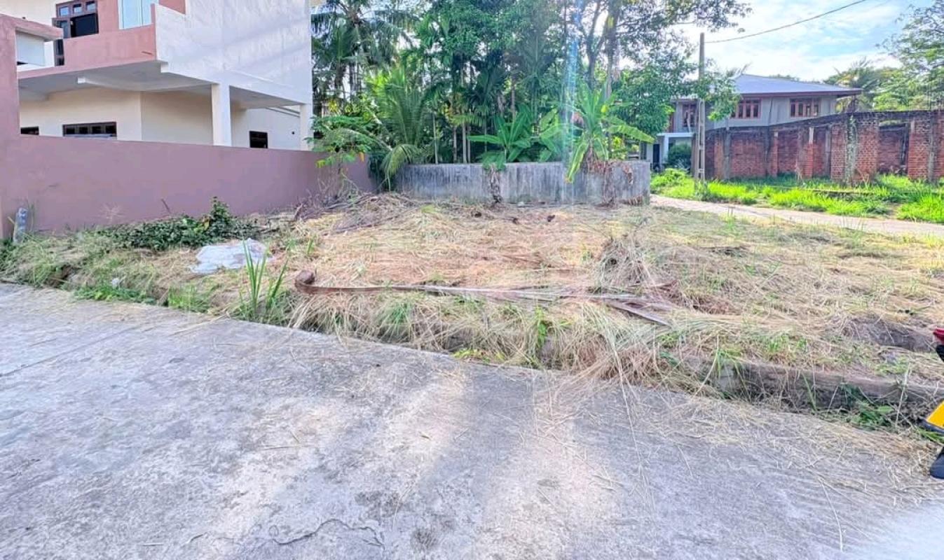 Commercial Land for Sale in Negombo ads-image-1