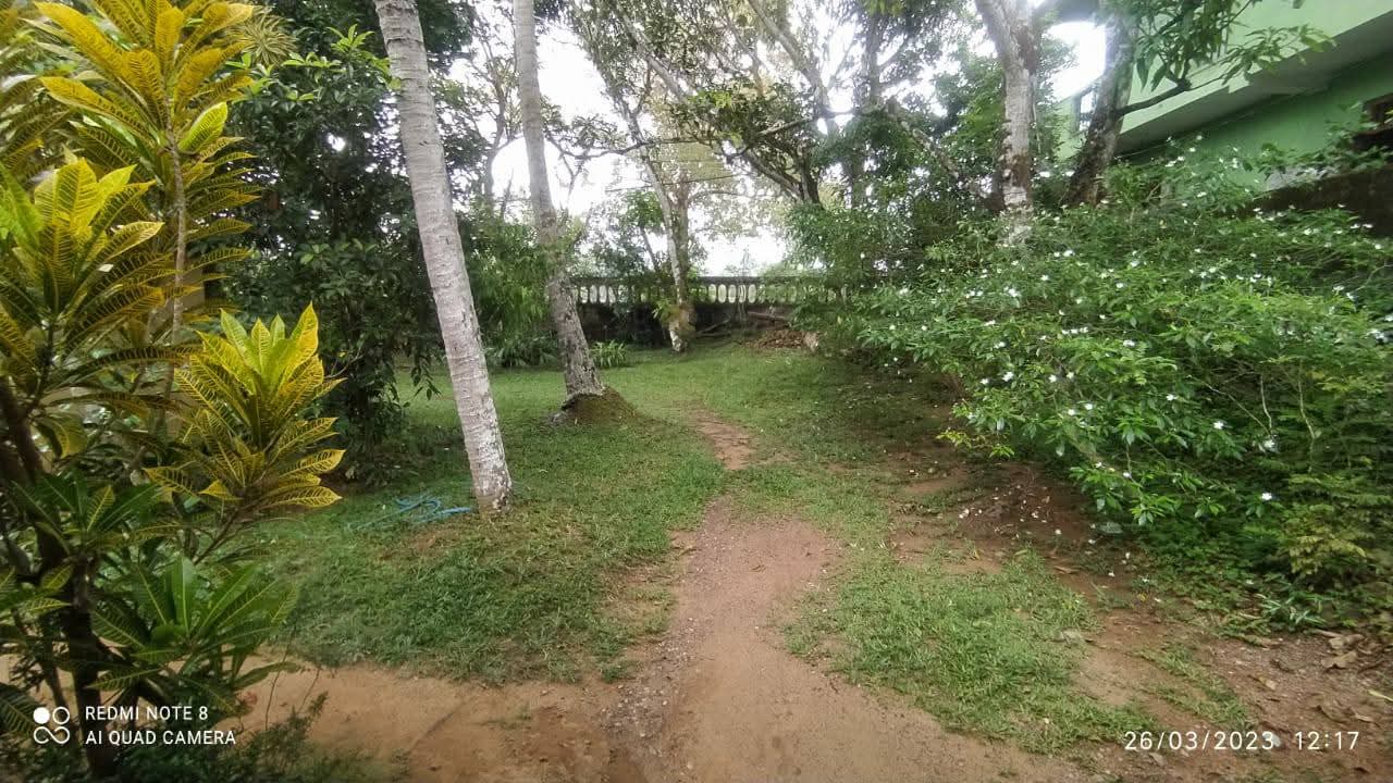 Commercial Land for Sale in Homagama