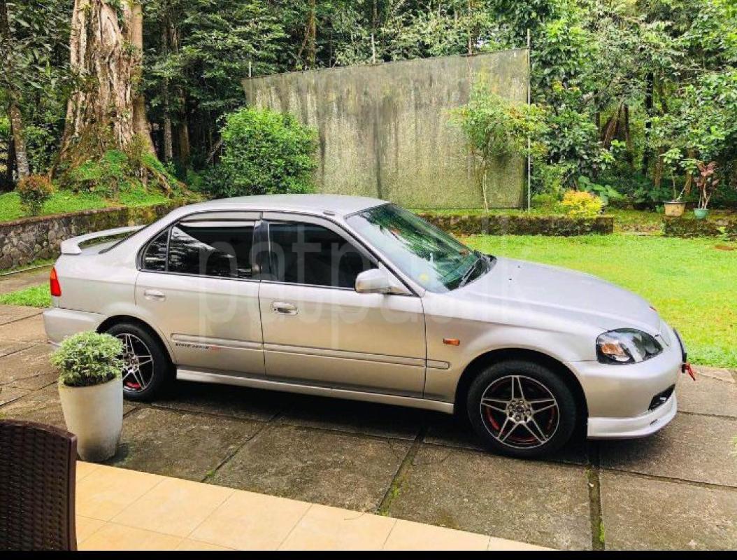 Advertisement image 3