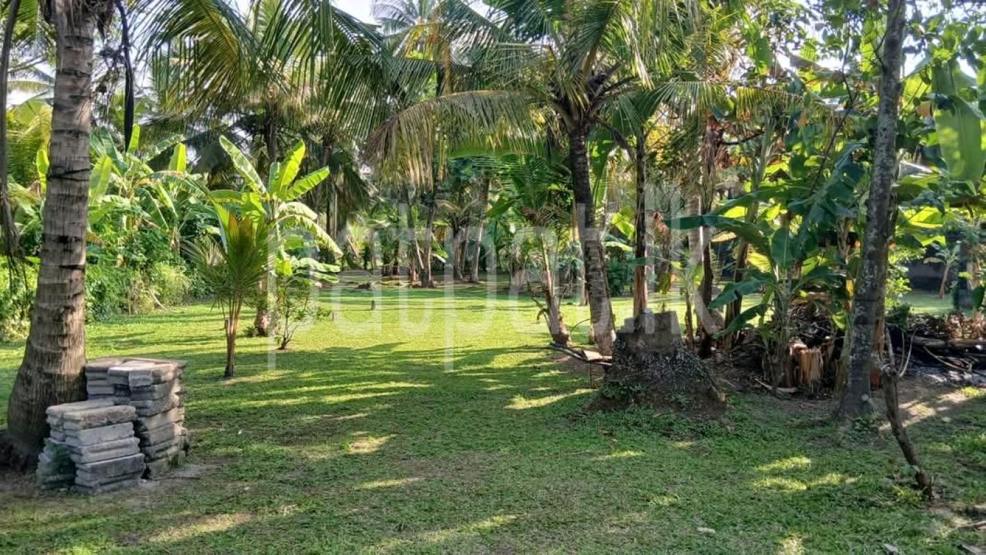 Commercial Land for Sale in Angoda