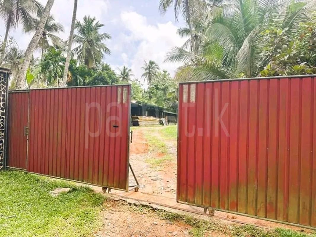 Advertisement image 5