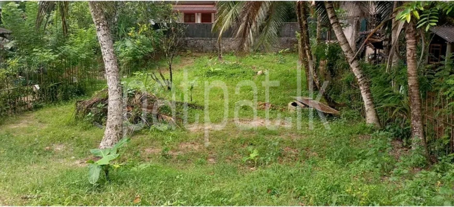Residential Land for Sale in Talagampola