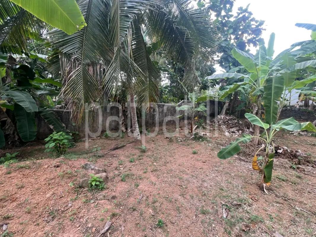Agricultural Land for Sale in Ridigama