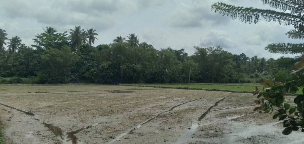 Commercial Land for Sale in Veyangoda