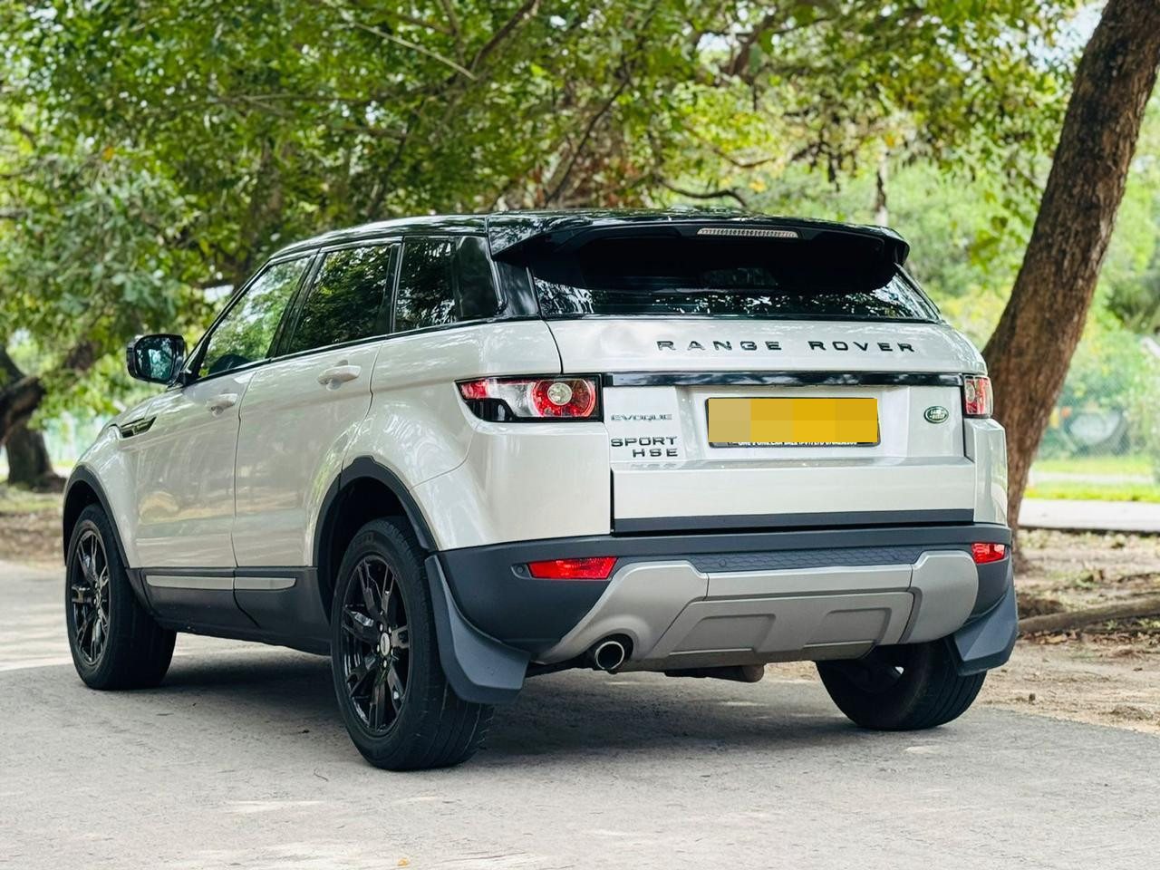 Advertisement image 3