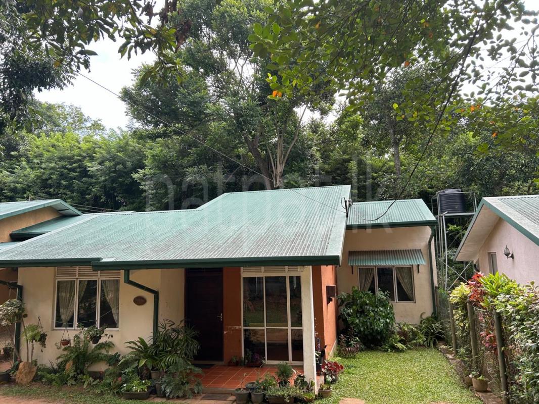 House for Sale in Digana