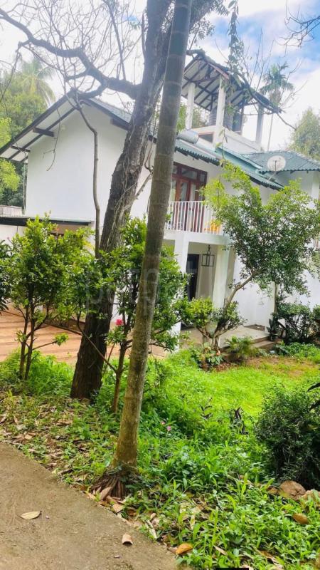 House for Sale in Ampitiya ads-image-1