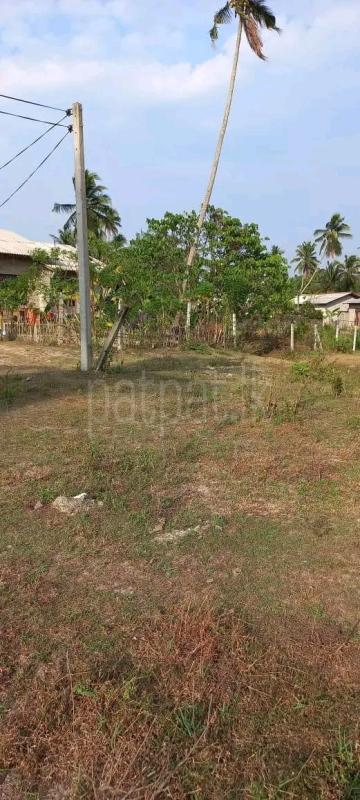 Residential Land for Sale in Pamunugama