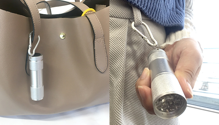 LED 9 The light   Carabiner flashlight