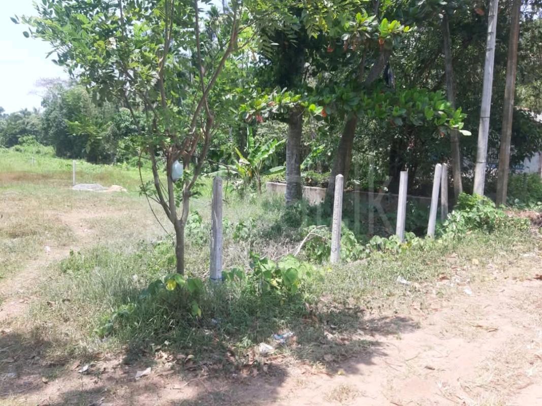 Residential Land for Sale in Beruwala ads-image-1