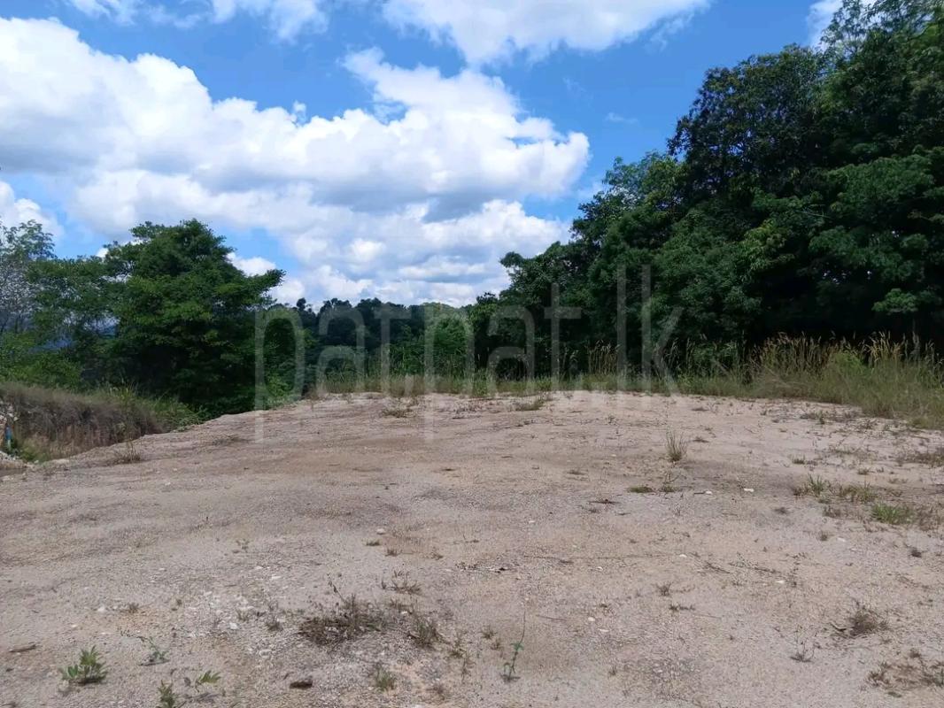 Agricultural Land for Sale in Weligama