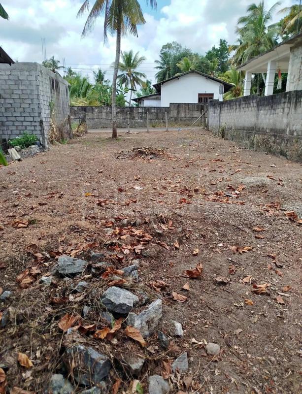 Commercial Land for Sale in Nagoda ads-image-1