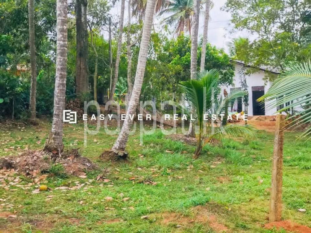Residential Land for Sale in Makewita