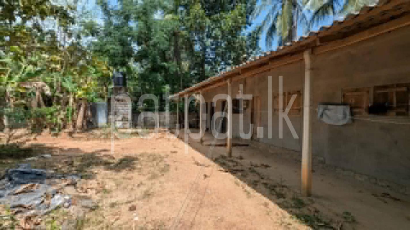 House for Sale in Wathurugama