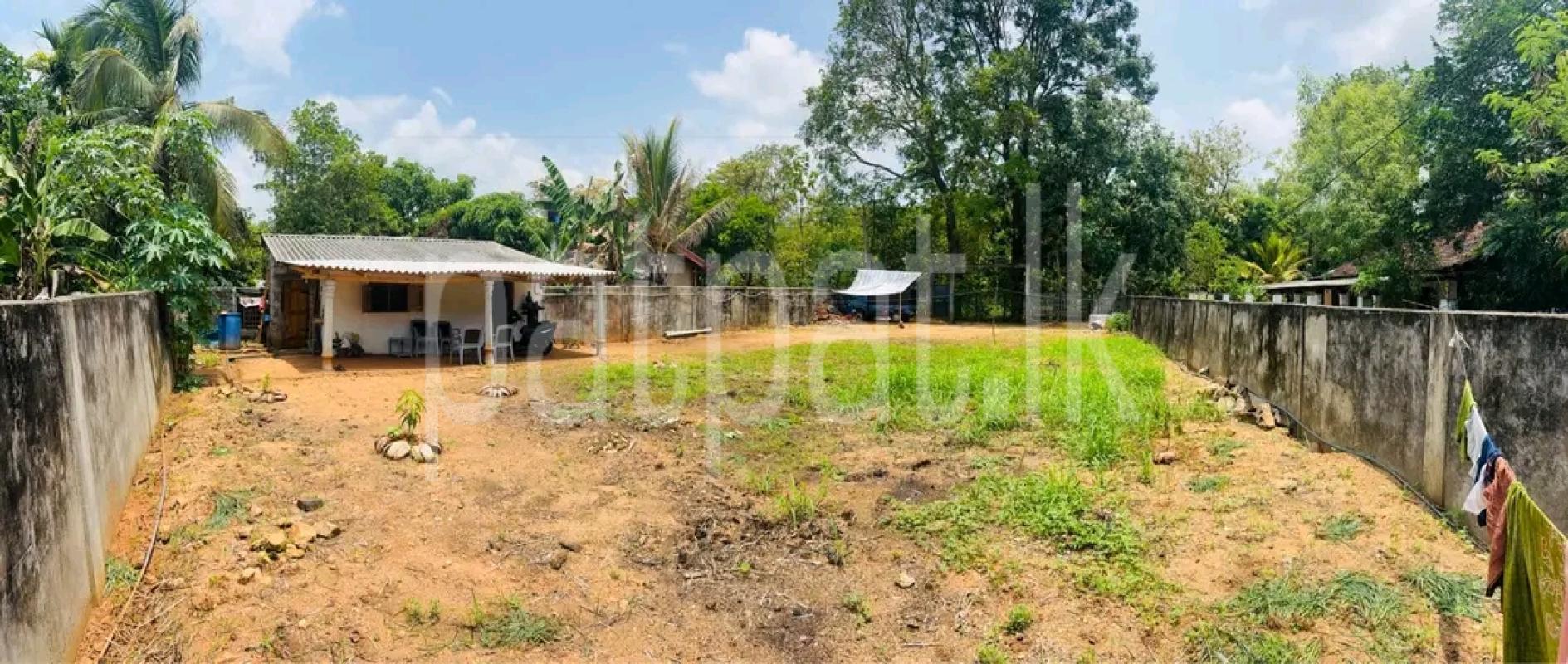 Residential Land for Sale in Maho