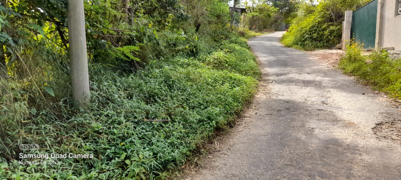 Commercial Land for Sale in Belihuloya