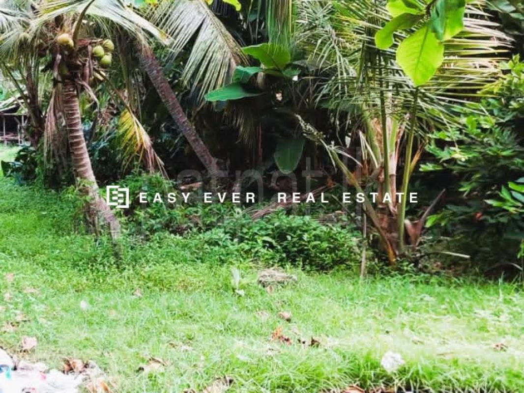 Residential Land for Sale in Wattala