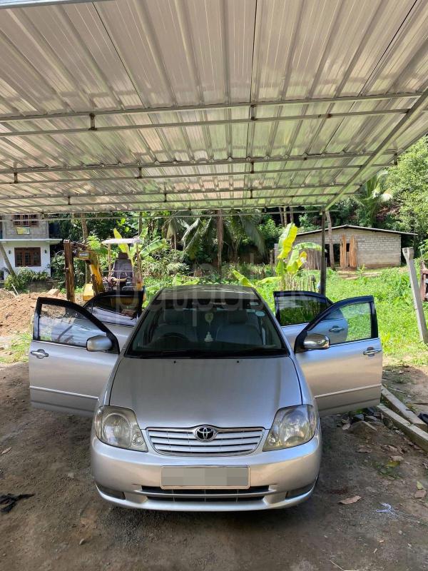 Advertisement image 5