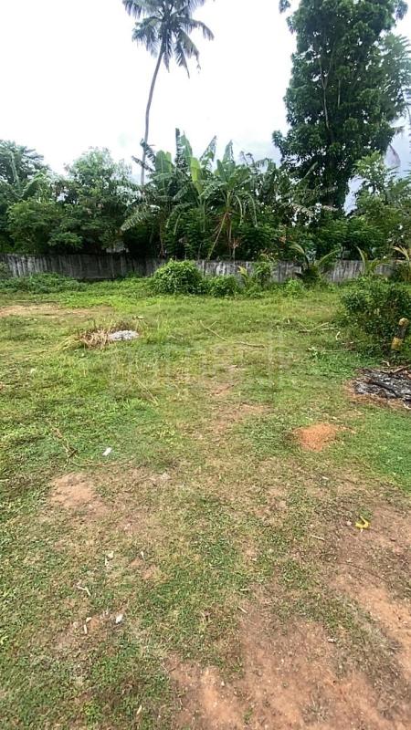 Commercial Land for Sale in Hakmana ads-image-1