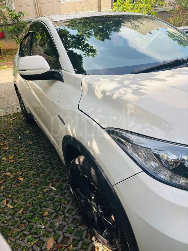 Advertisement image 4