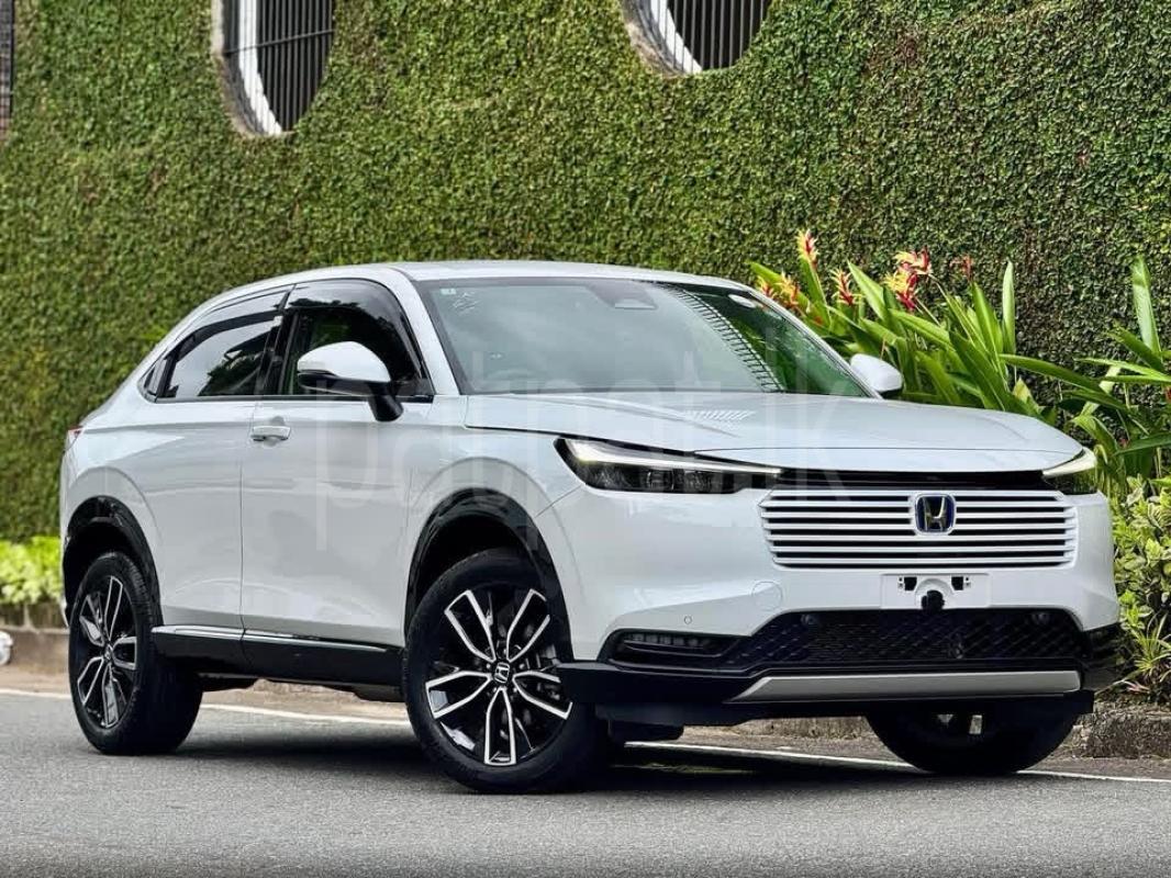 Advertisement image 1