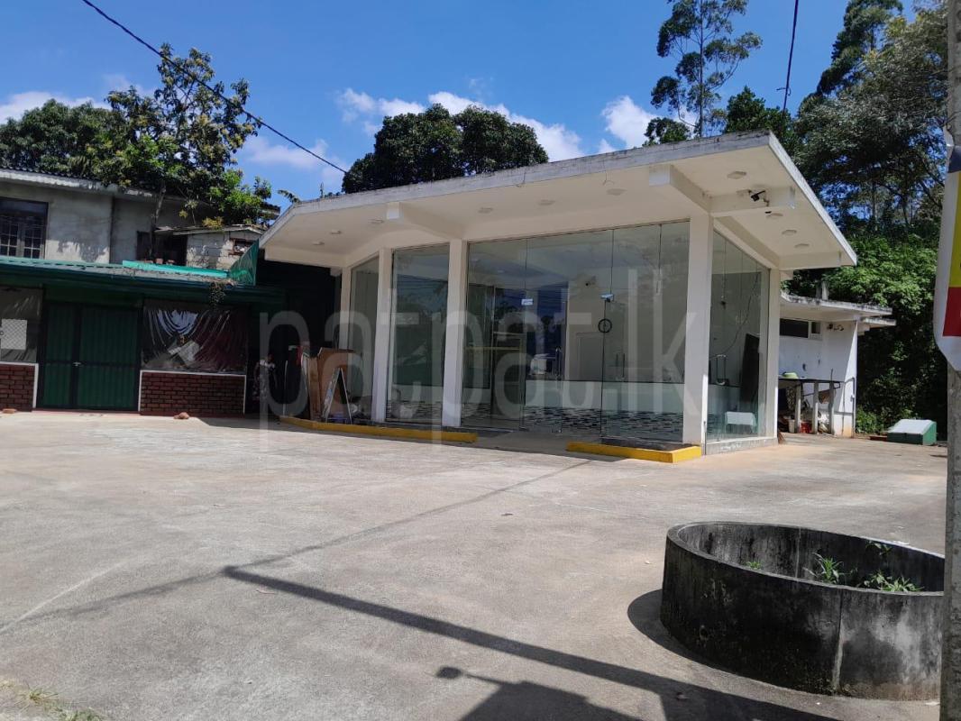 Advertisement image 1