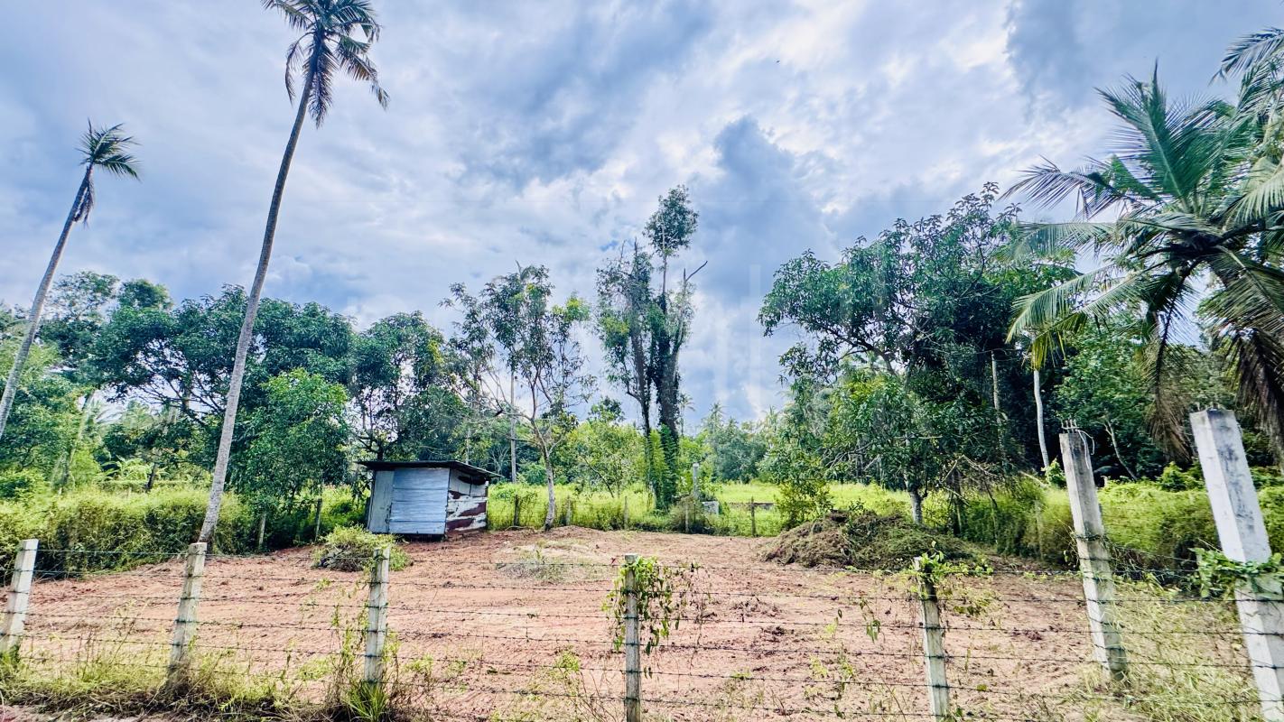 Residential Land for Sale in Negombo ads-image-1