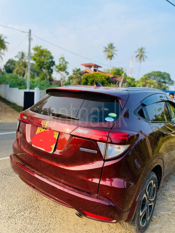 Advertisement image 5