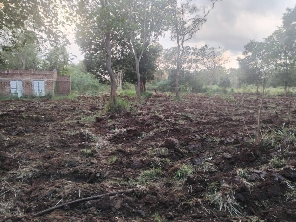 Agricultural Land for Sale in Saliyapura ads-image-1