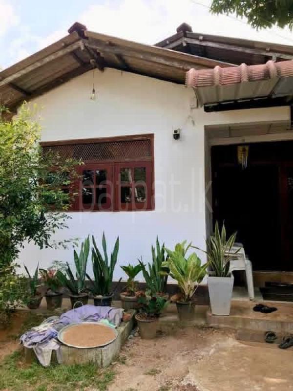 House for Sale in Dompe