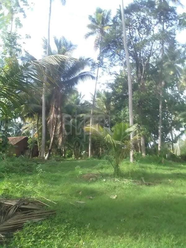 Agricultural Land for Sale in Wariyapola