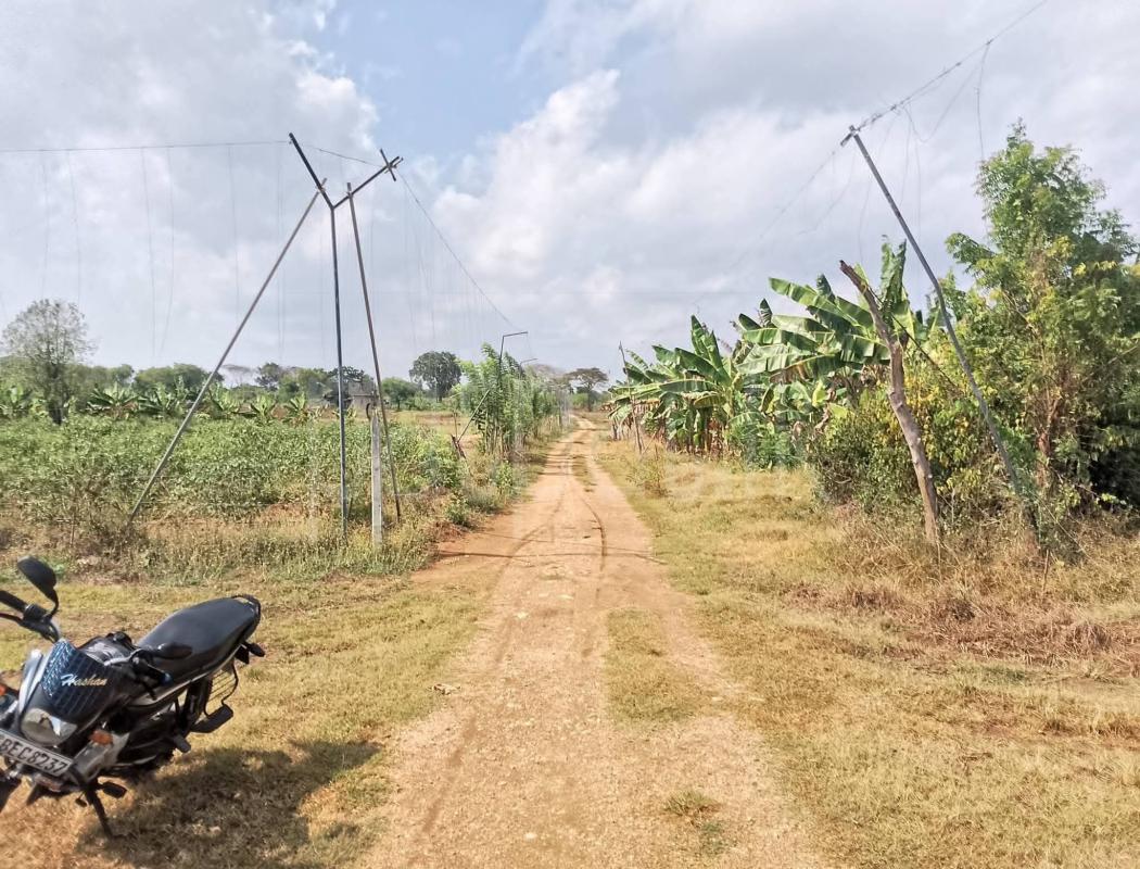 Agricultural Land for Sale in Katunayake