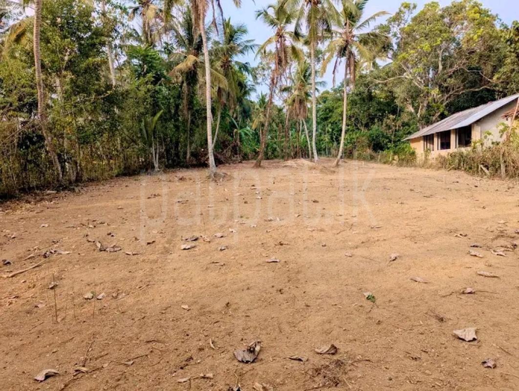 Commercial Land for Sale in Udugama