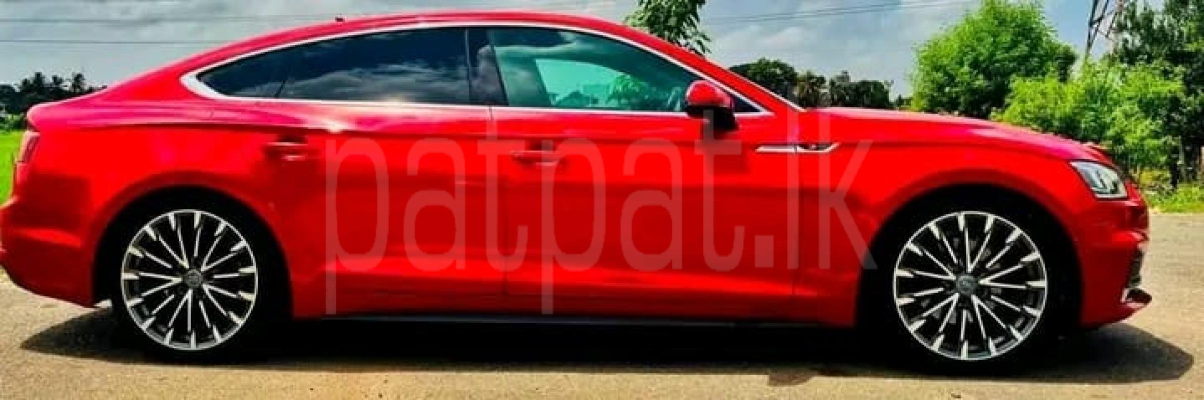 Advertisement image 2