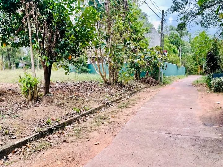 Commercial Land for Sale in Yakkala ads-image-1