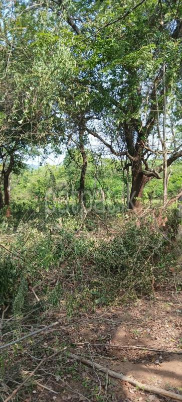 Residential Land for Sale in Kataragama