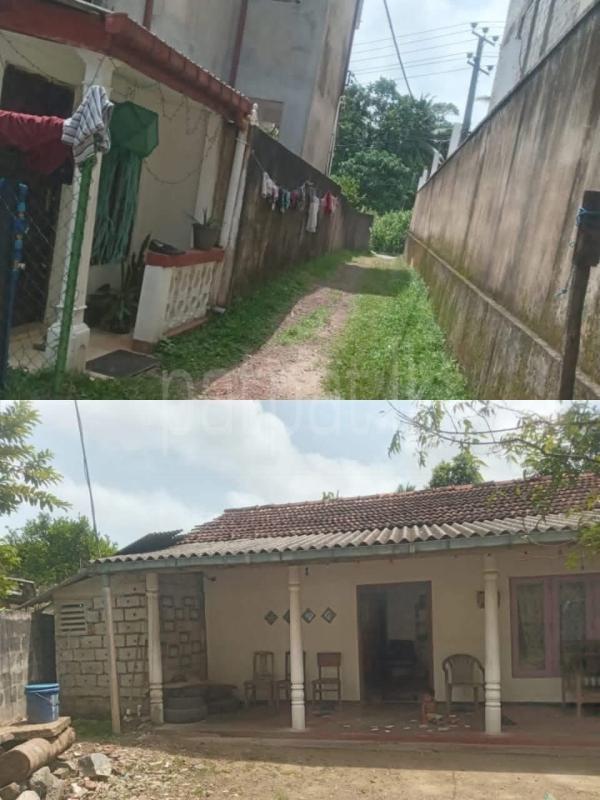 Residential Land for Sale in Galle ads-image-1