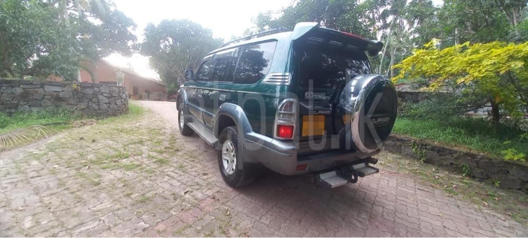 Advertisement image 3