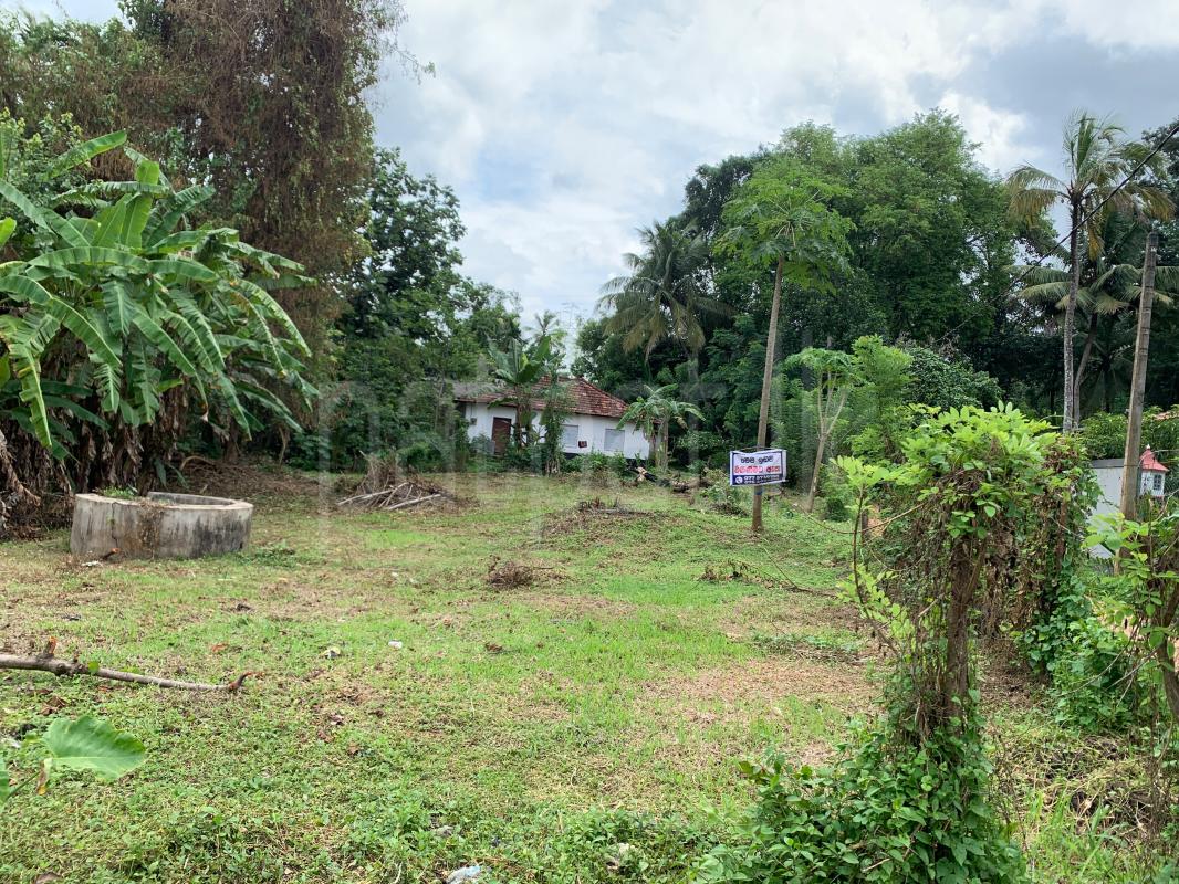 Commercial Land for Sale in Kurunegala