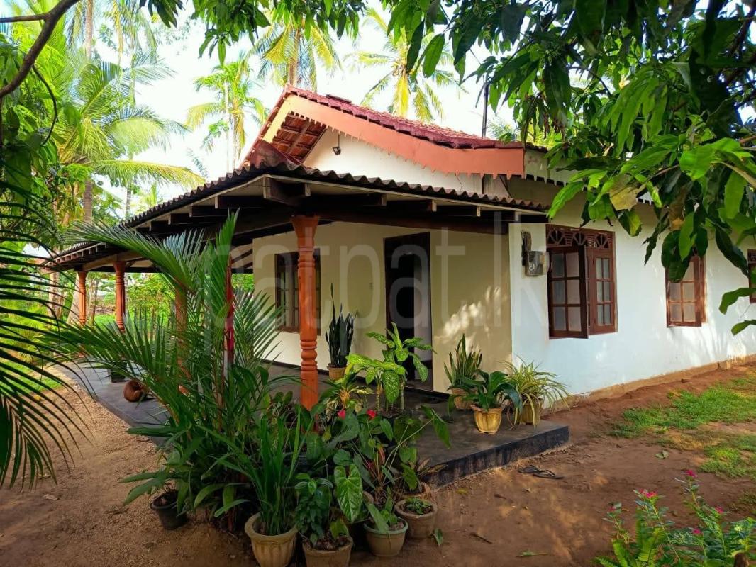 Residential Land for Rent in Weeraketiya