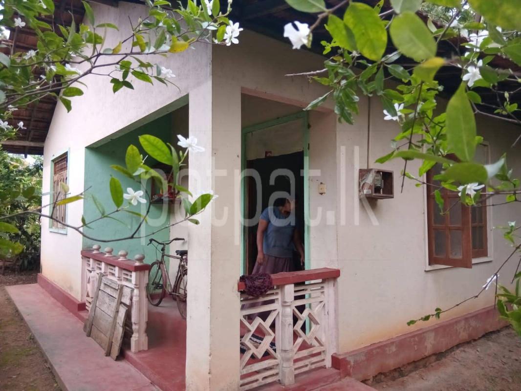 House for Sale in Divulapitiya