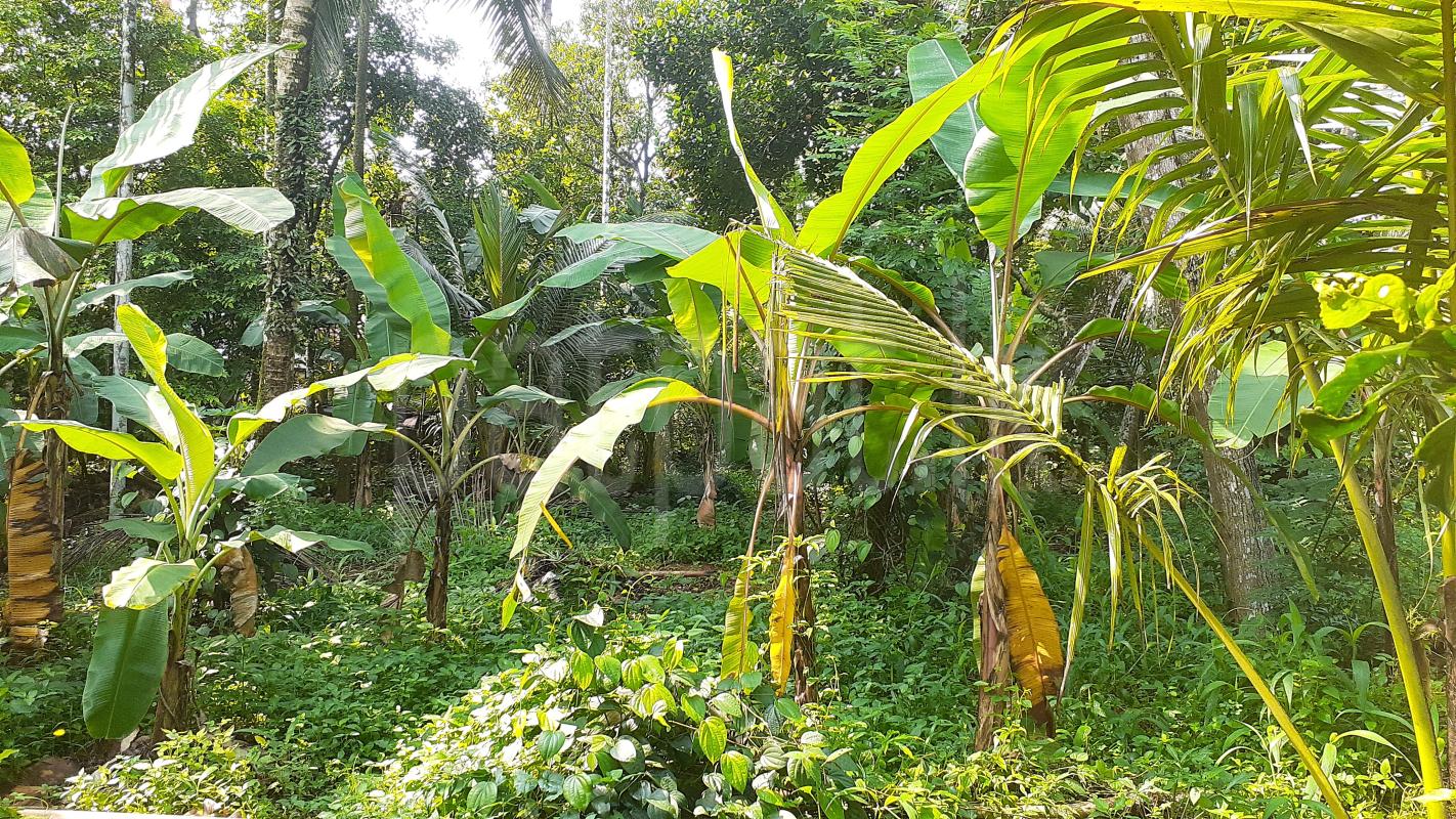 Residential Land for Sale in Kadawatha