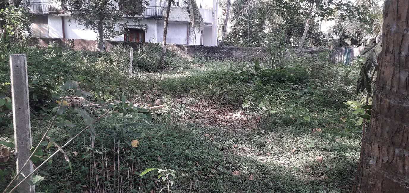 Commercial Land for Sale in Homagama