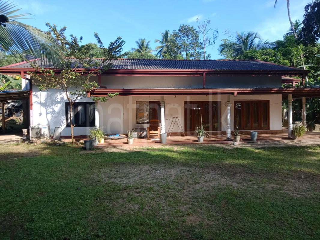 Residential Land for Sale in Gampaha ads-image-1