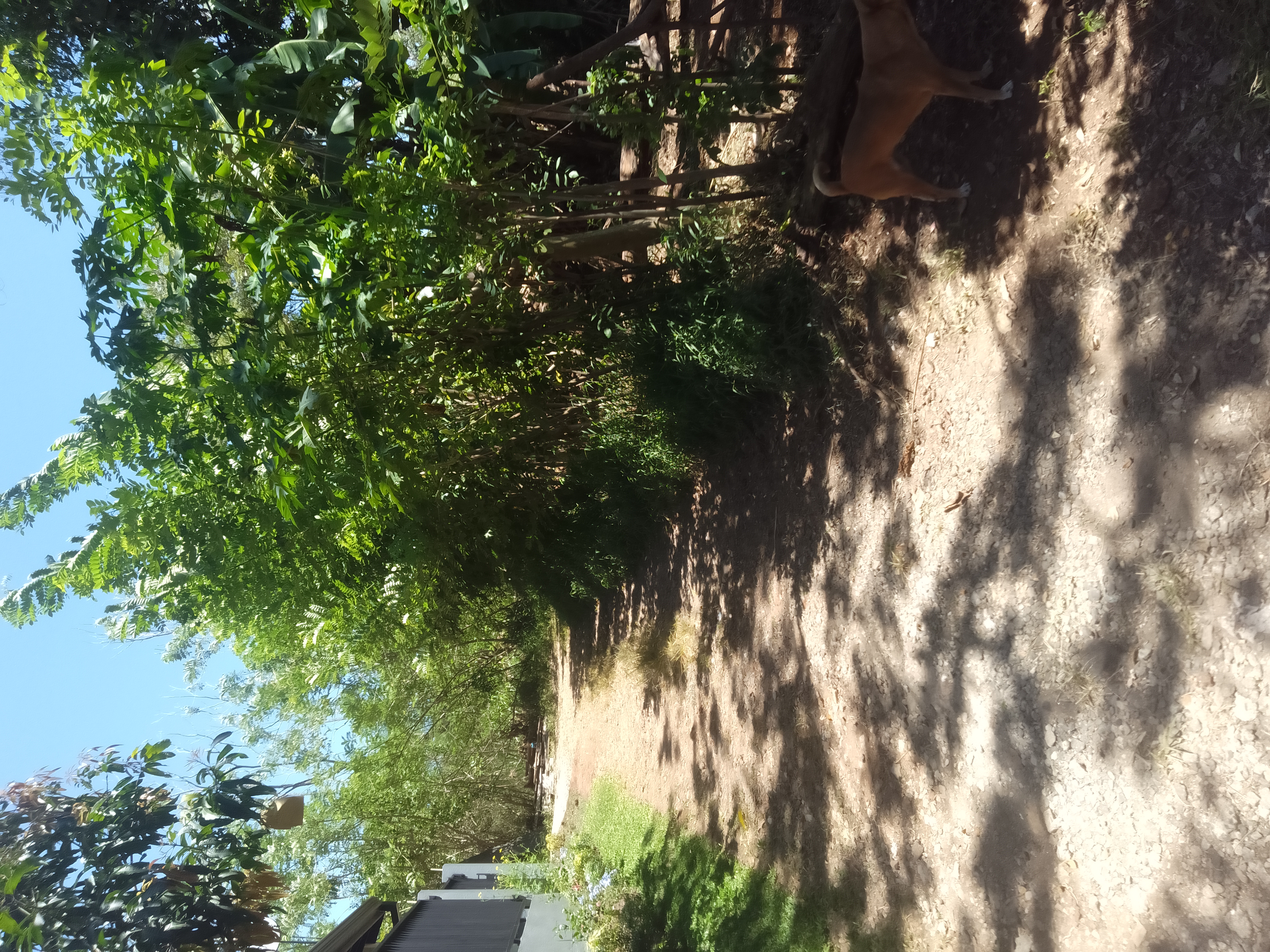 Residential Land for Sale in Balagolla