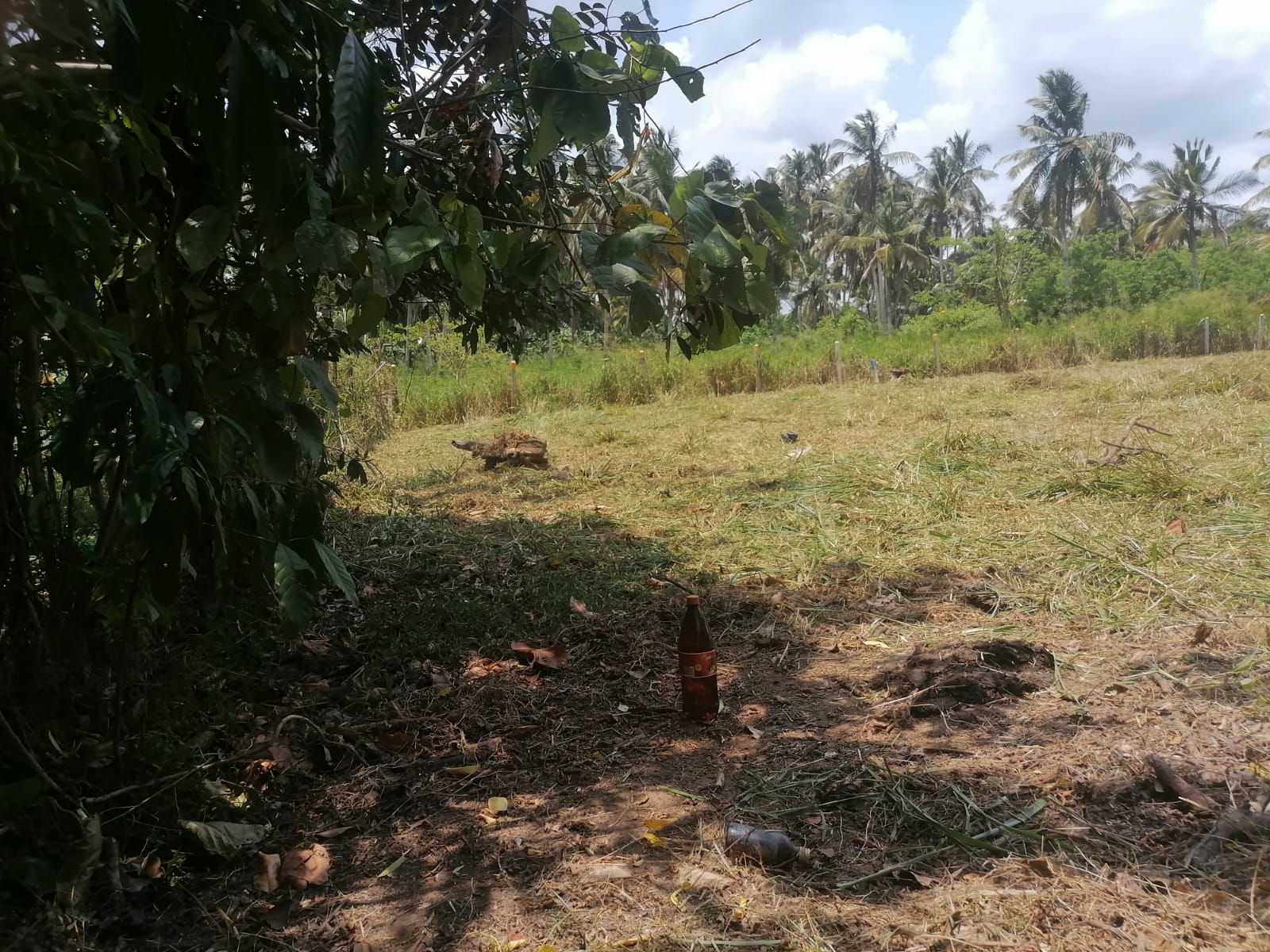 Commercial Land for Sale in Yakkala