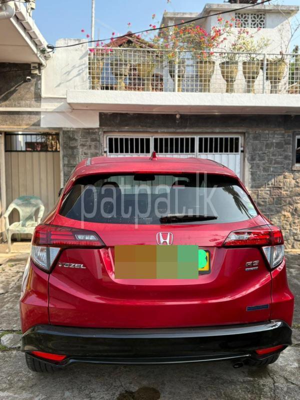 Advertisement image 3