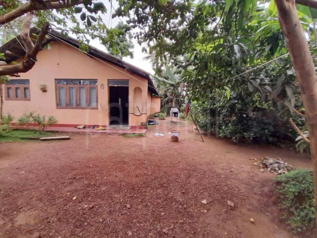 House for Sale in Panadura ads-image-1