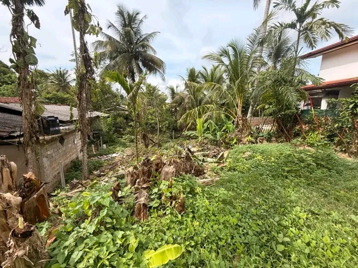 Residential Land for Sale in Galle