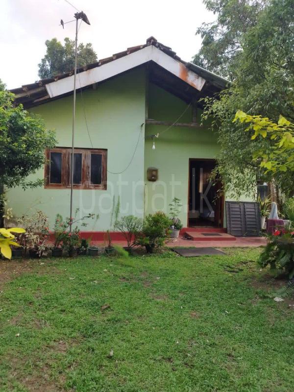 Residential Land for Sale in Gonapola Junction